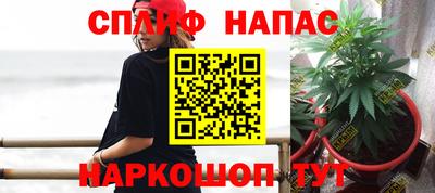 прущая мука Пугачёв