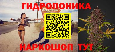 твердый Пушкино